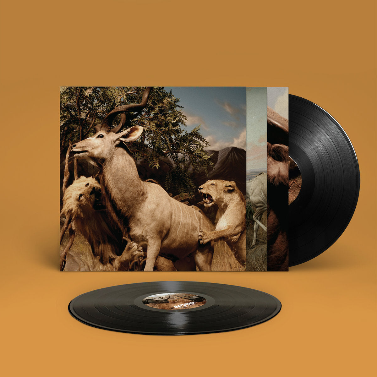 Interpol - Our Love to Admire (Double Black Vinyl)