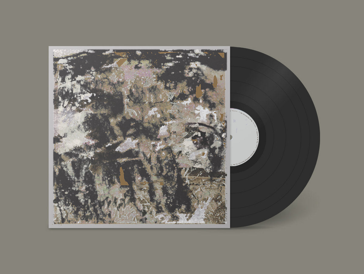 Loraine James - Building Something Beautiful For Me (Black Vinyl)