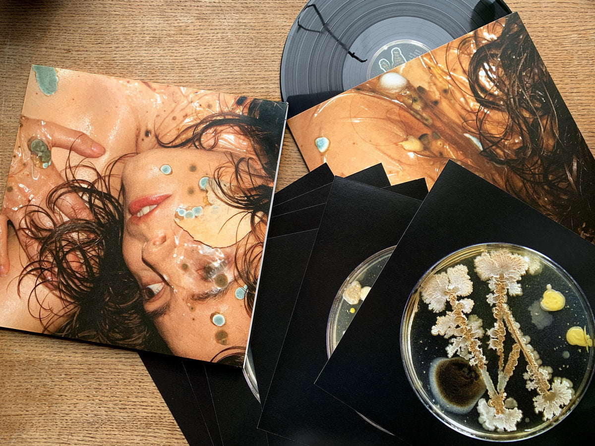 Kee Avil - Spine (Art Edition on 180g Black Vinyl w/ 6 Art Card Inserts)