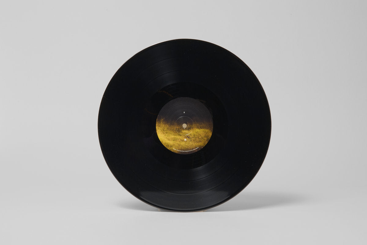 Hania Rani - Ghosts (Double Black Vinyl w/ Bespoke 8-Page Booklet)