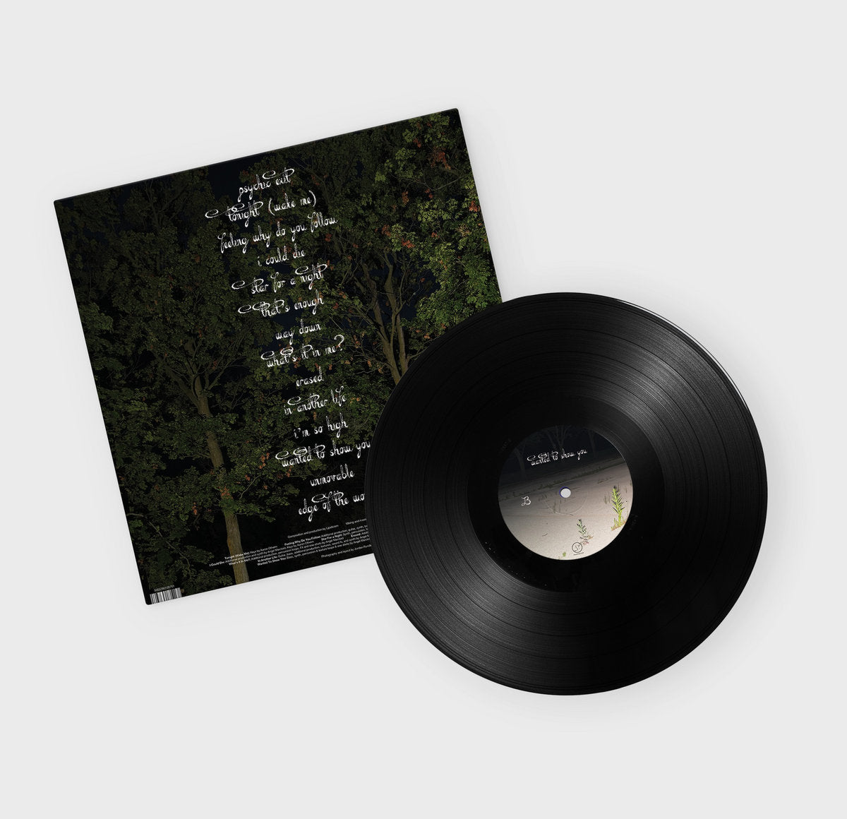 Lipsticism - Wanted To Show You (Black Vinyl)