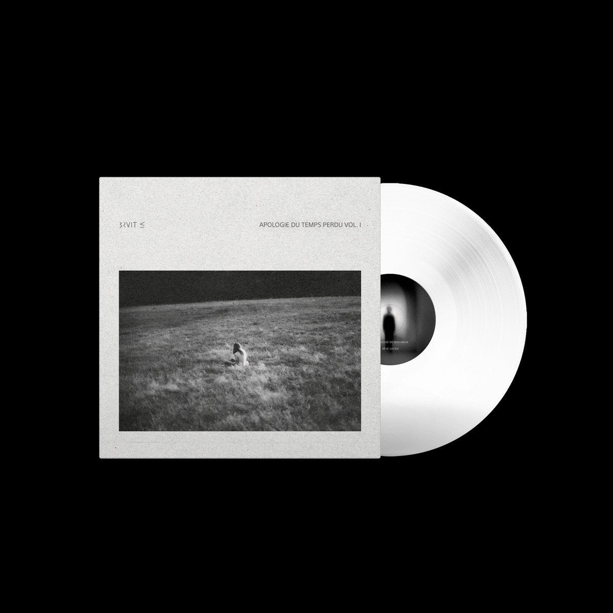 BRUIT ≤ - Apologie du temps perdu, Vol. 1 (Temps Perdu Edition on Ultra Clear Vinyl)