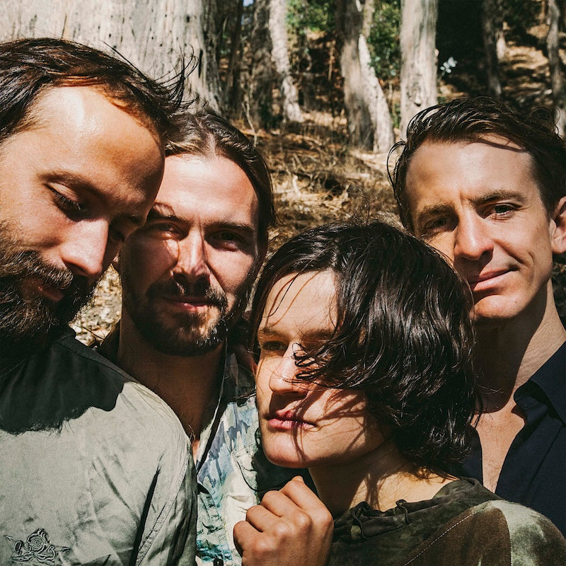 Big Thief - Tow Hands (Black Vinyl)