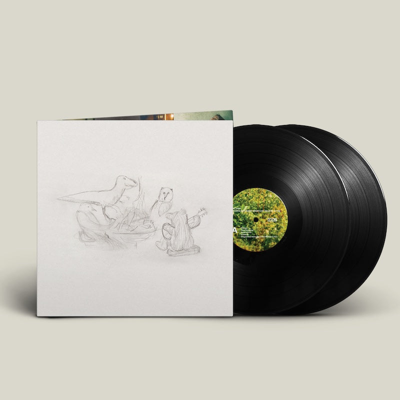 Big Thief - Dragon New Warm Mountain I Believe In You (Double Black Vinyl)
