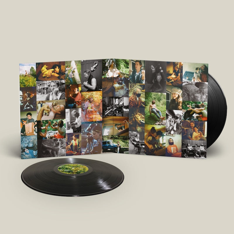Big Thief - Dragon New Warm Mountain I Believe In You (Double Black Vinyl)
