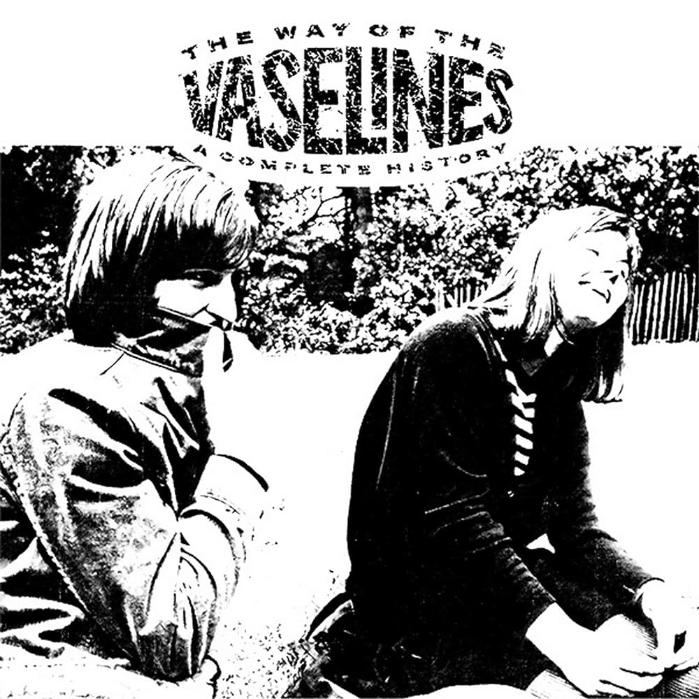 The Vaselines - The Way of the Vaselines (Wide Spined Double Black Vinyl)