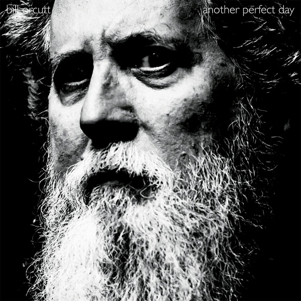 Bill Orcutt - Another Perfect Day (Black Vinyl)