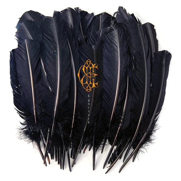 David Eugene Edwards - Hyacinth (Black Vinyl)
