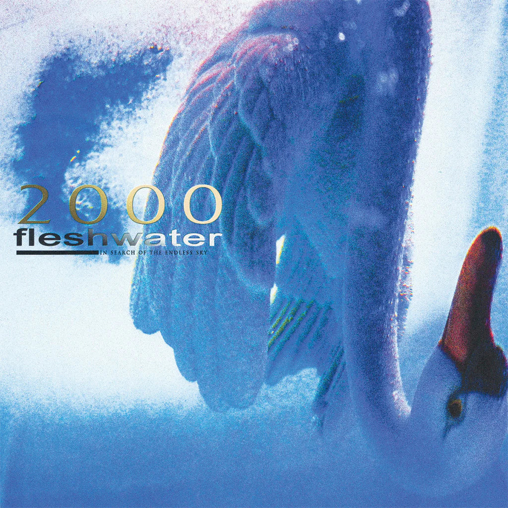 Fleshwater - 2000: In Search of the Endless Sky (Limited Edition on Fluorescent Pink Vinyl)