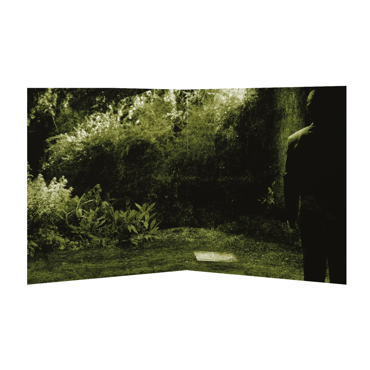 Opeth - Watershed (Limited Edition of 4000 on Double Silver & Black Marbled Vinyl w/ 4-Page Booklet and Poster)