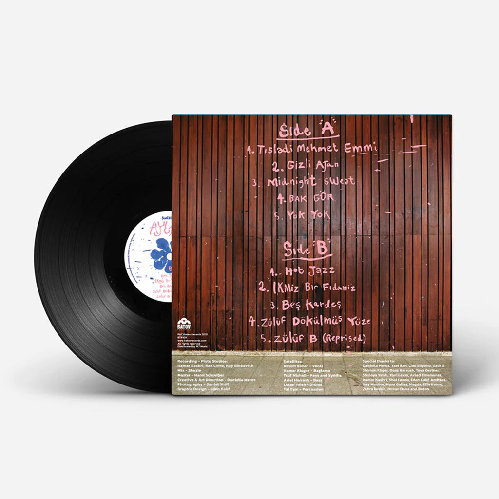 Şatellites - Aylar (Black Vinyl)