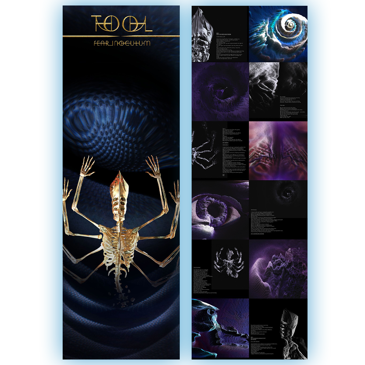 Tool - Fear Inoculum (Limited Edition Box Set on Triple Black Vinyl w/ New Artwork and Exclusive Poster)