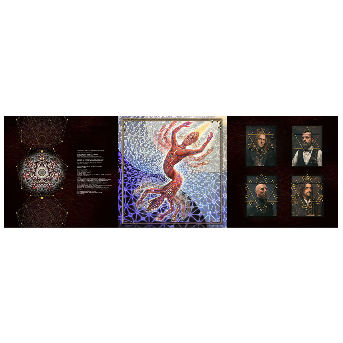 Tool - Fear Inoculum (Limited Edition Box Set on Triple Black Vinyl w/ New Artwork and Exclusive Poster)