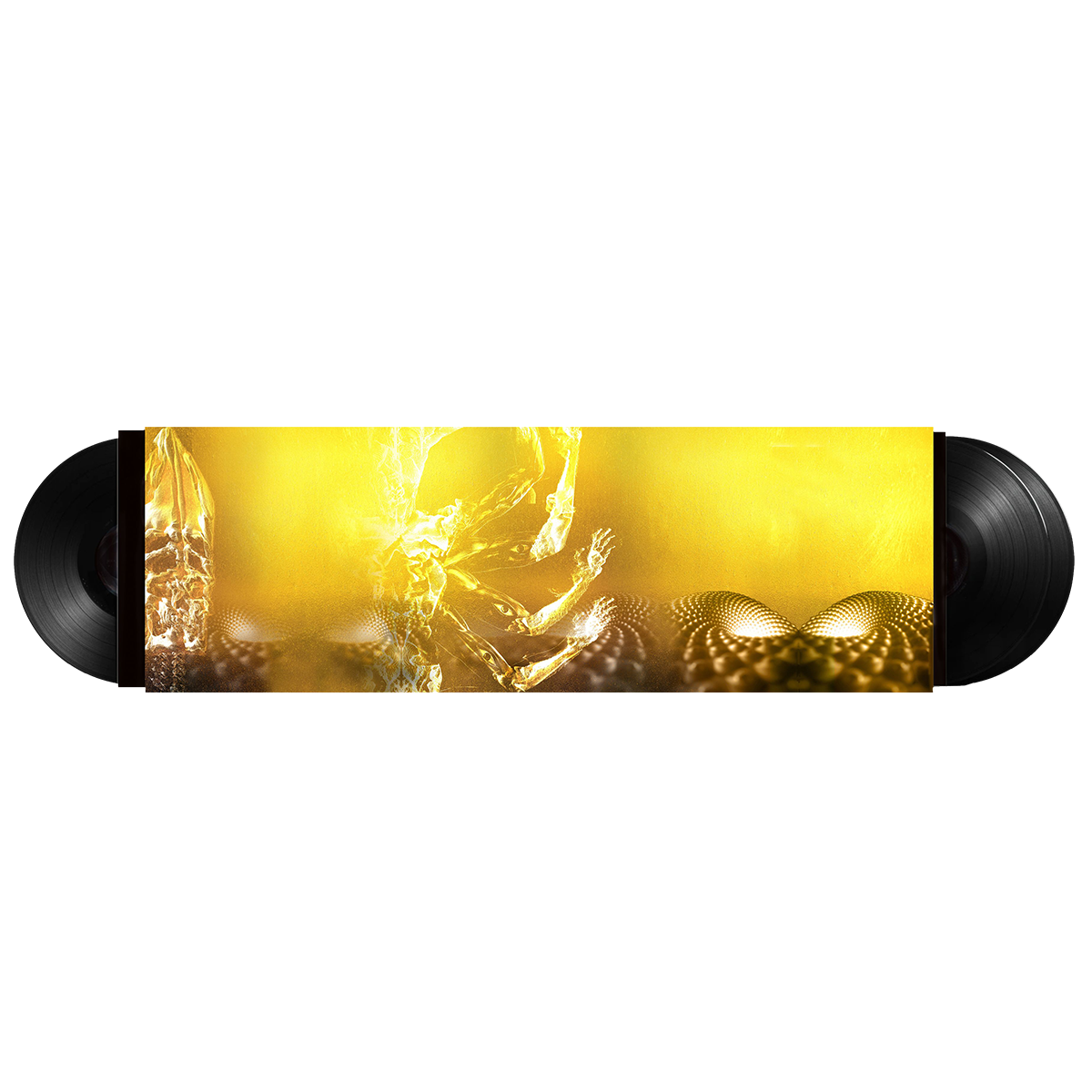 Tool - Fear Inoculum (Limited Edition Box Set on Triple Black Vinyl w/ New Artwork and Exclusive Poster)
