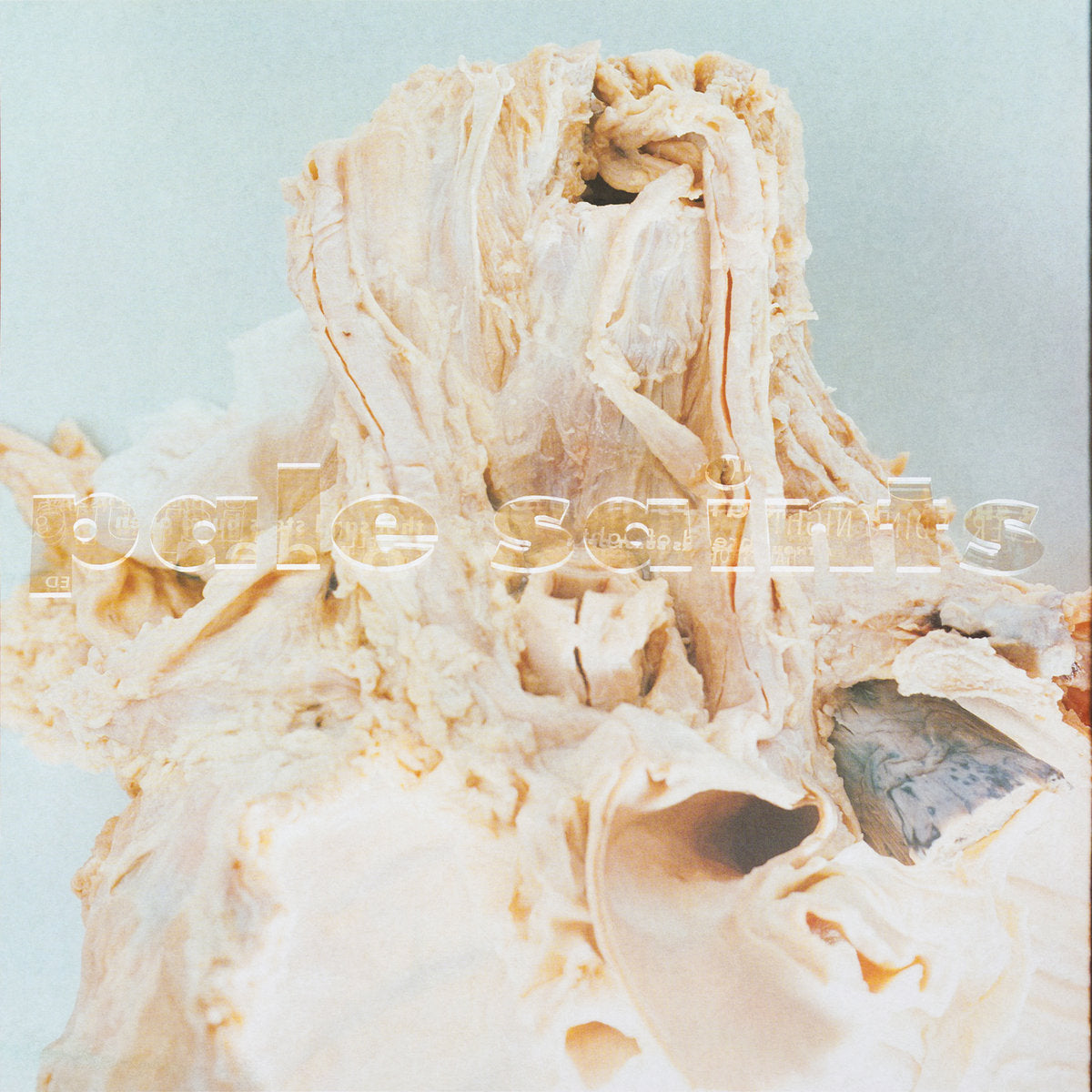 Pale Saints - In Ribbons "30th Anniversary Remasters" (Black Vinyl)