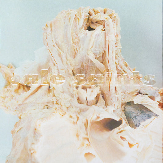 Pale Saints - In Ribbons "30th Anniversary Remasters" (Black Vinyl)
