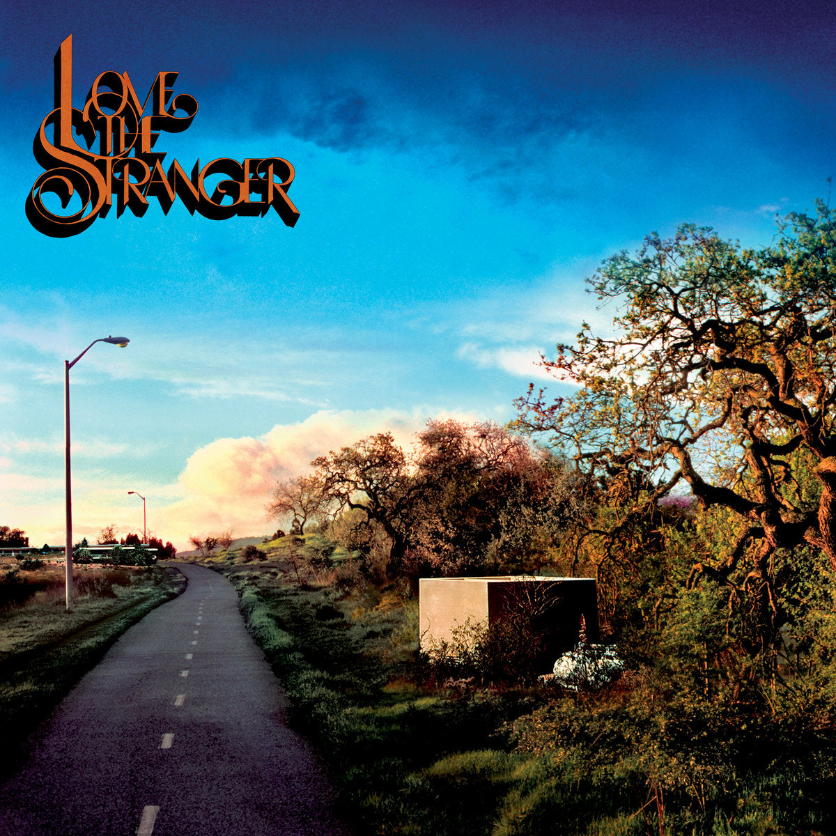 Friendship - Love The Stranger (Limited Edition on Blue Galaxy Swirl Vinyl)