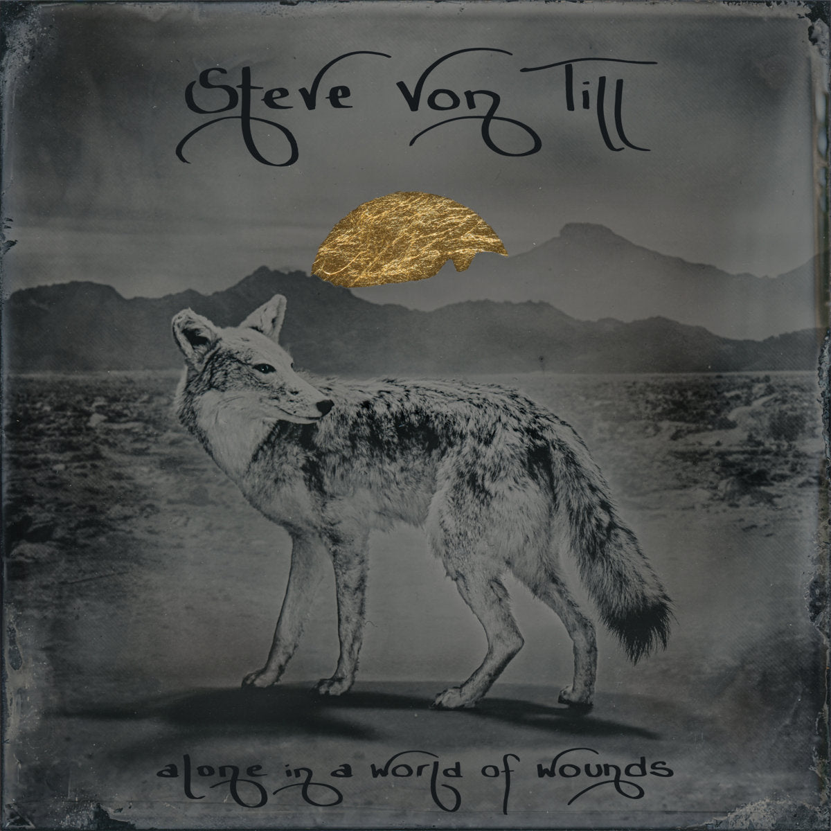 Steve Von Till - Alone in a World of Wounds (Graphite Grey Vinyl)
