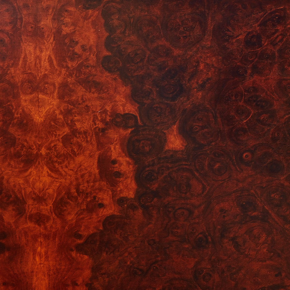 True Widow - Avvolgere (Double Orange Krush and Black Galaxy Merge Vinyl)