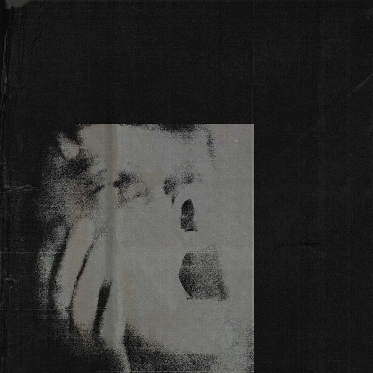DITZ - Never Exhale (Limited Edition on Transparent Orange Vinyl)