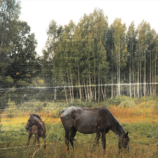 Pianos Become The Teeth - Old Pride (Limited Edition on Forest Green Vinyl)
