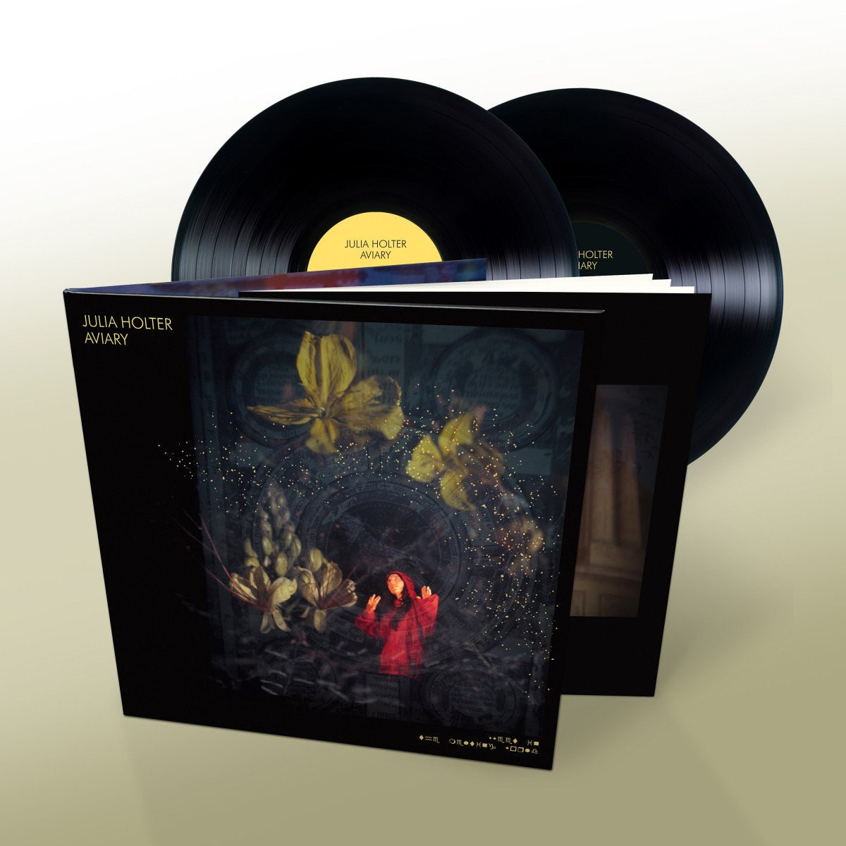 Julia Holter - Aviary (Double Black Vinyl)