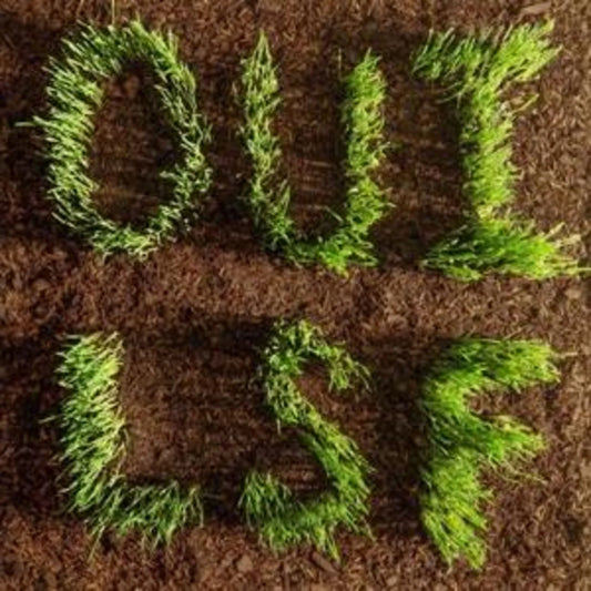 Les Savy Fav - OUI, LSF (Limited Edition on Blood Bone Vinyl)