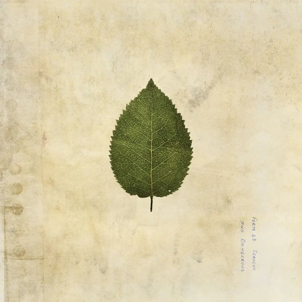 The Boxer Rebellion - The Cold Still "Reissue" (Limited Edition on Army Green Vinyl)