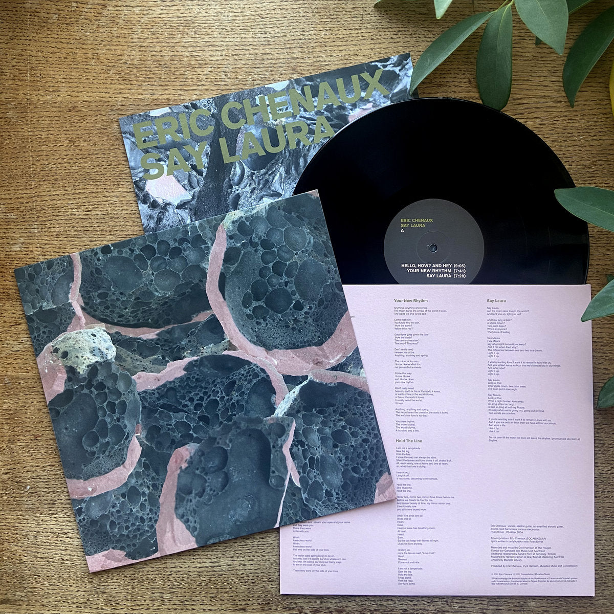 Eric Chenaux - Say Laura (180g Black Vinyl + Art Print Poster)
