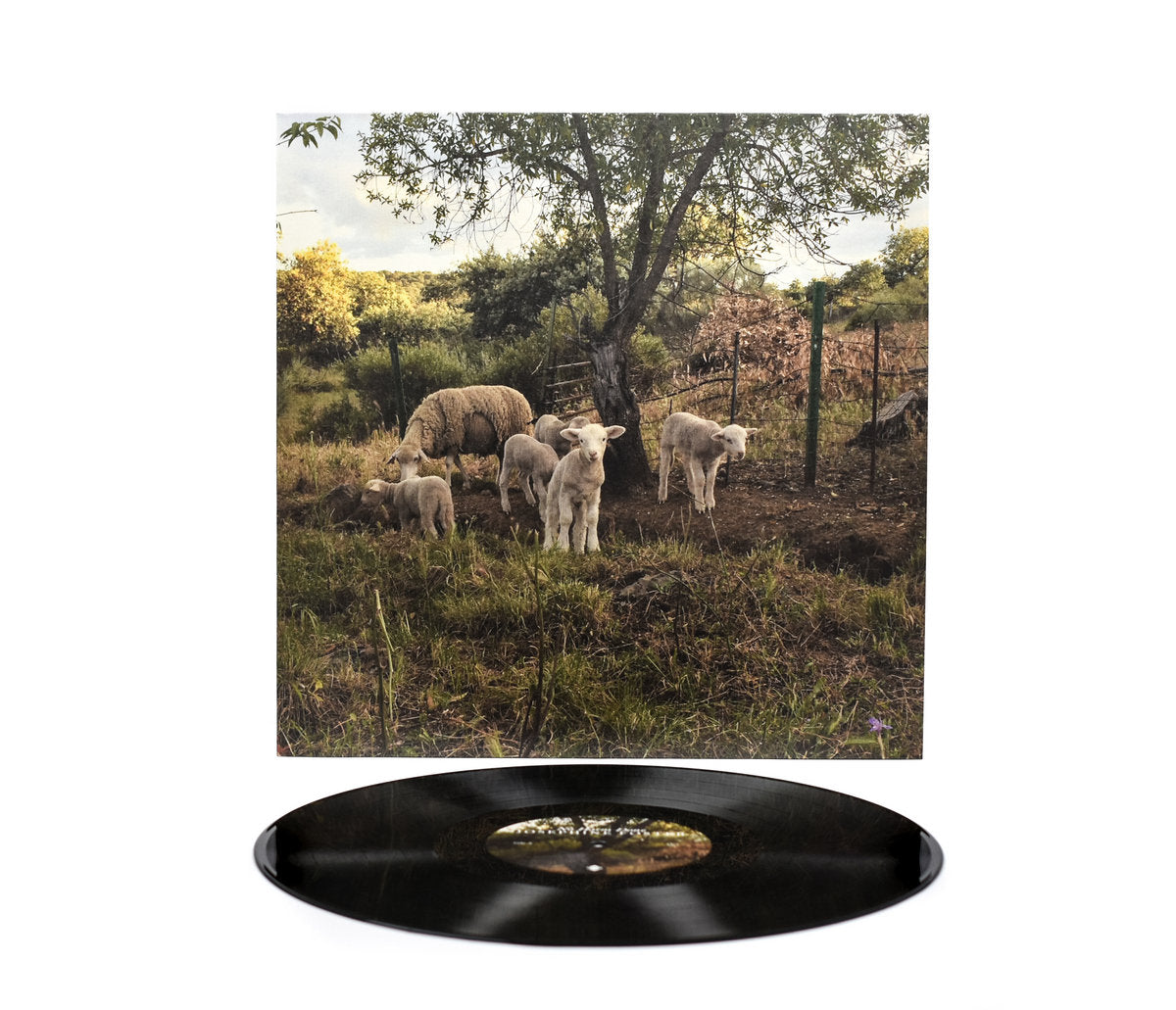 Josephine Foster - No Harm Done (Black Vinyl)