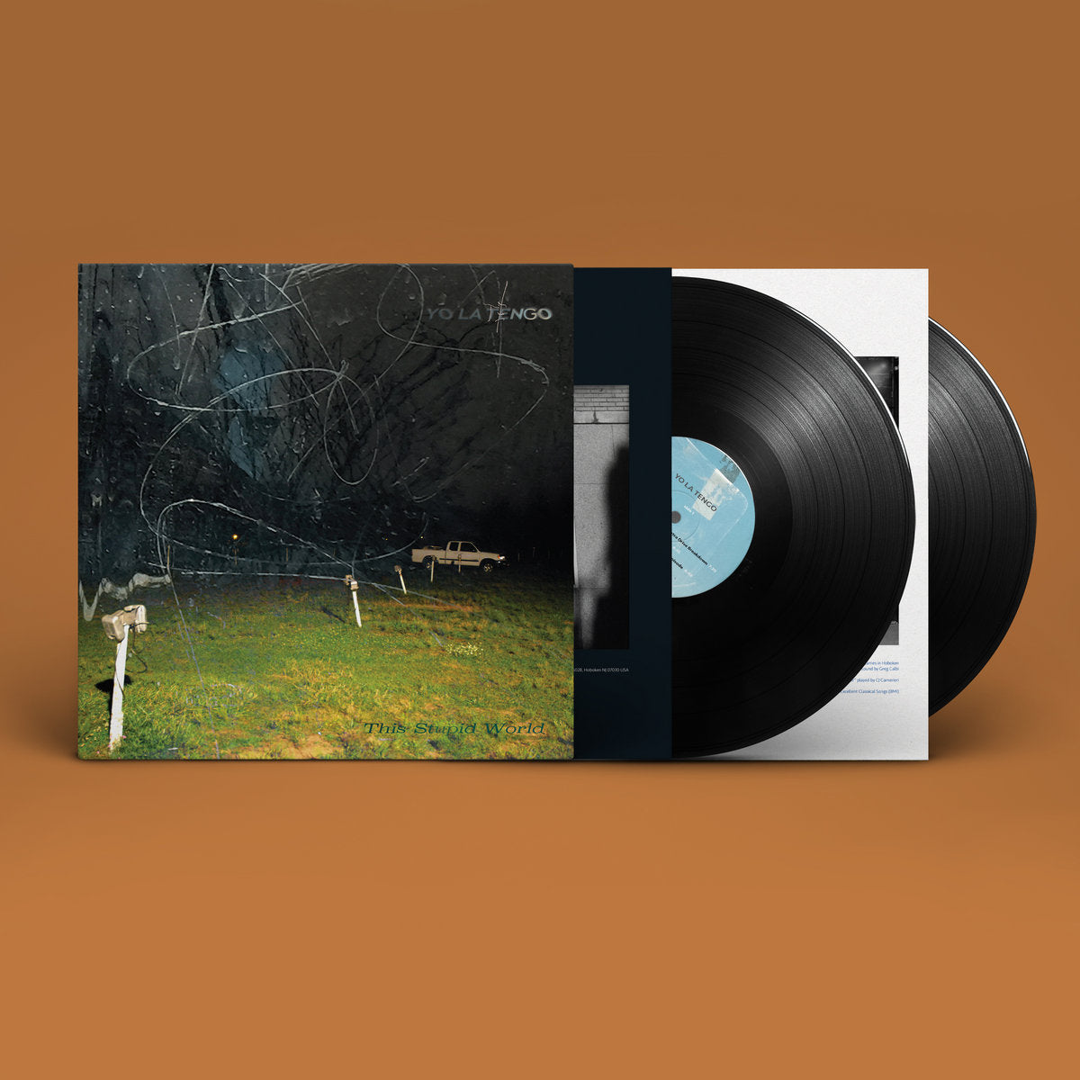 Yo La Tengo - This Stupid World (Double Black Vinyl)