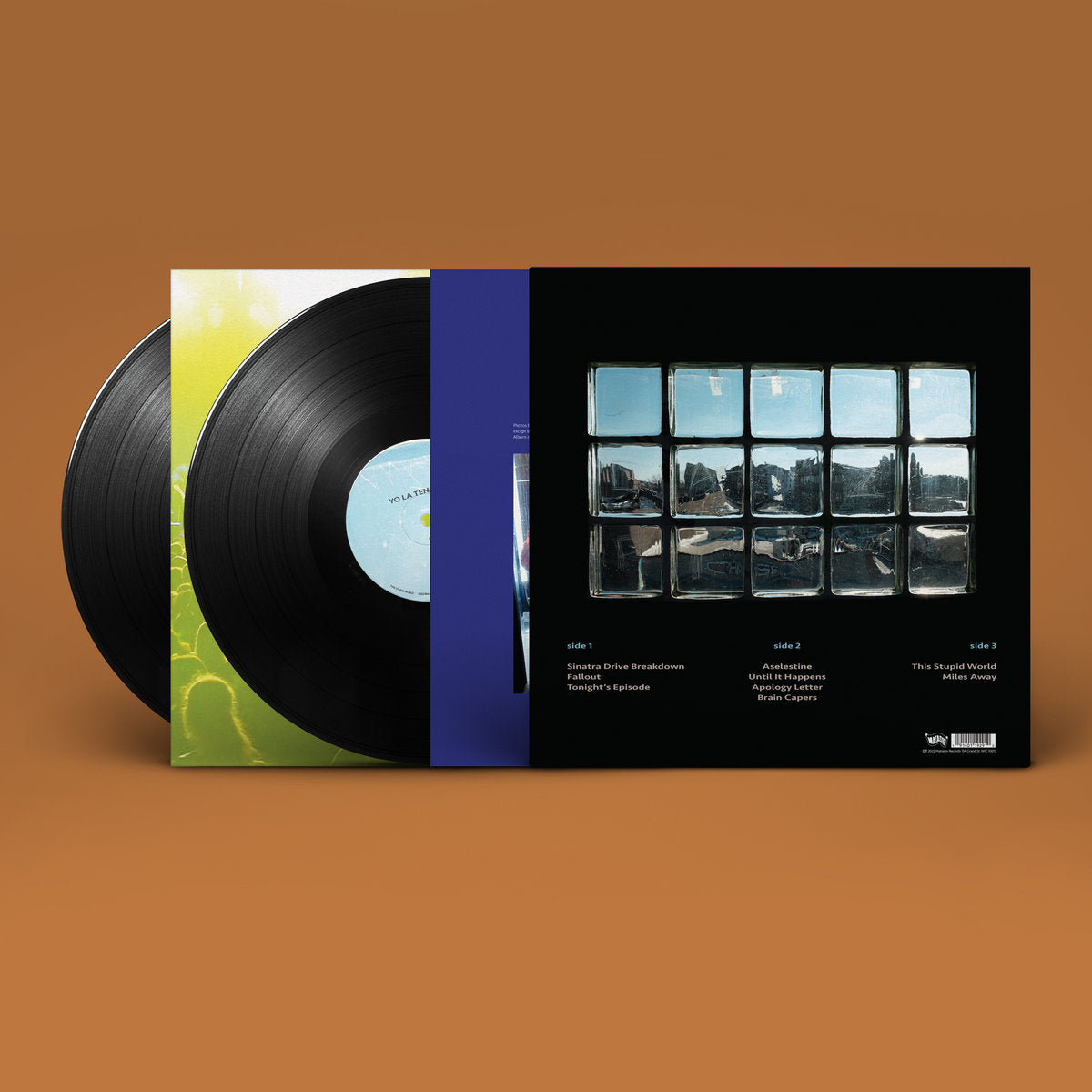 Yo La Tengo - This Stupid World (Double Black Vinyl)
