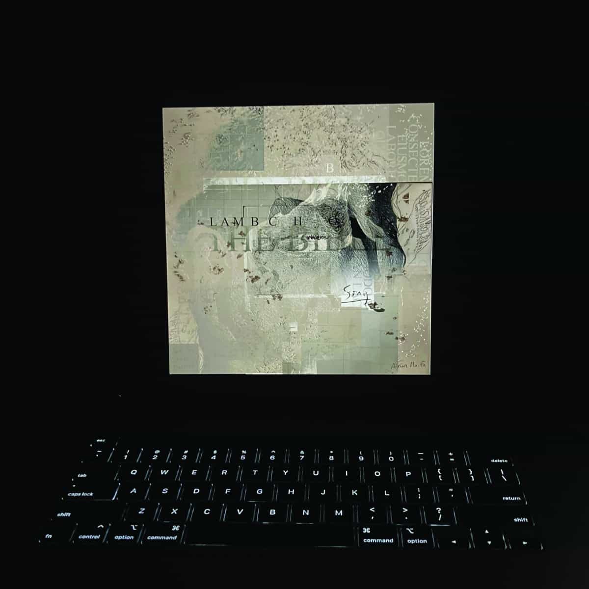Lambchop - The Bible (Limited Edition on Double Orange/Black Marble Vinyl)