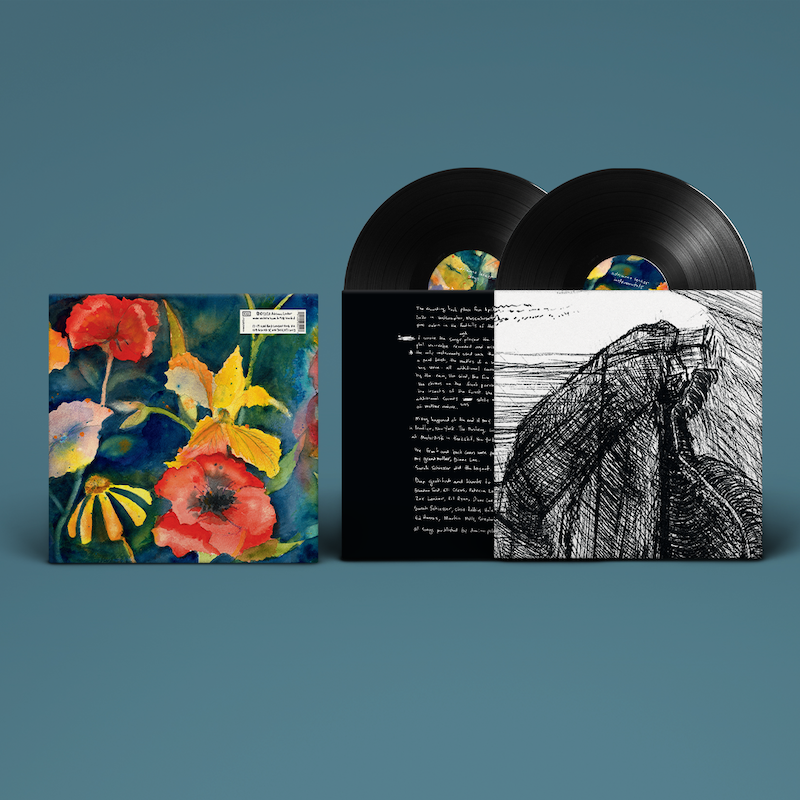 Adrianne Lenker - ''songs' and 'instrumentals'' (Double Black Vinyl)