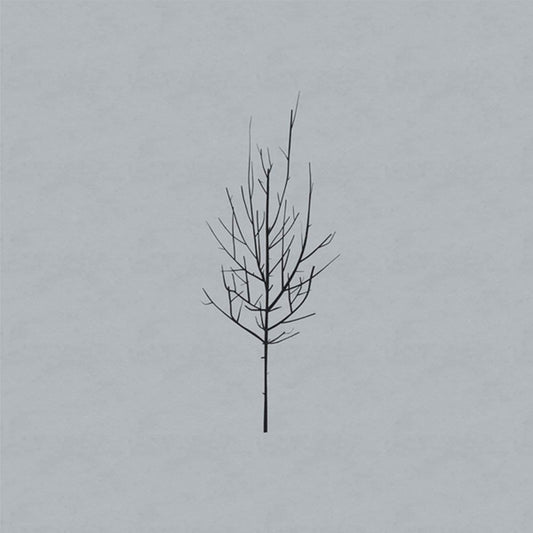 Low - Ones and Sixes (Double Black Vinyl)