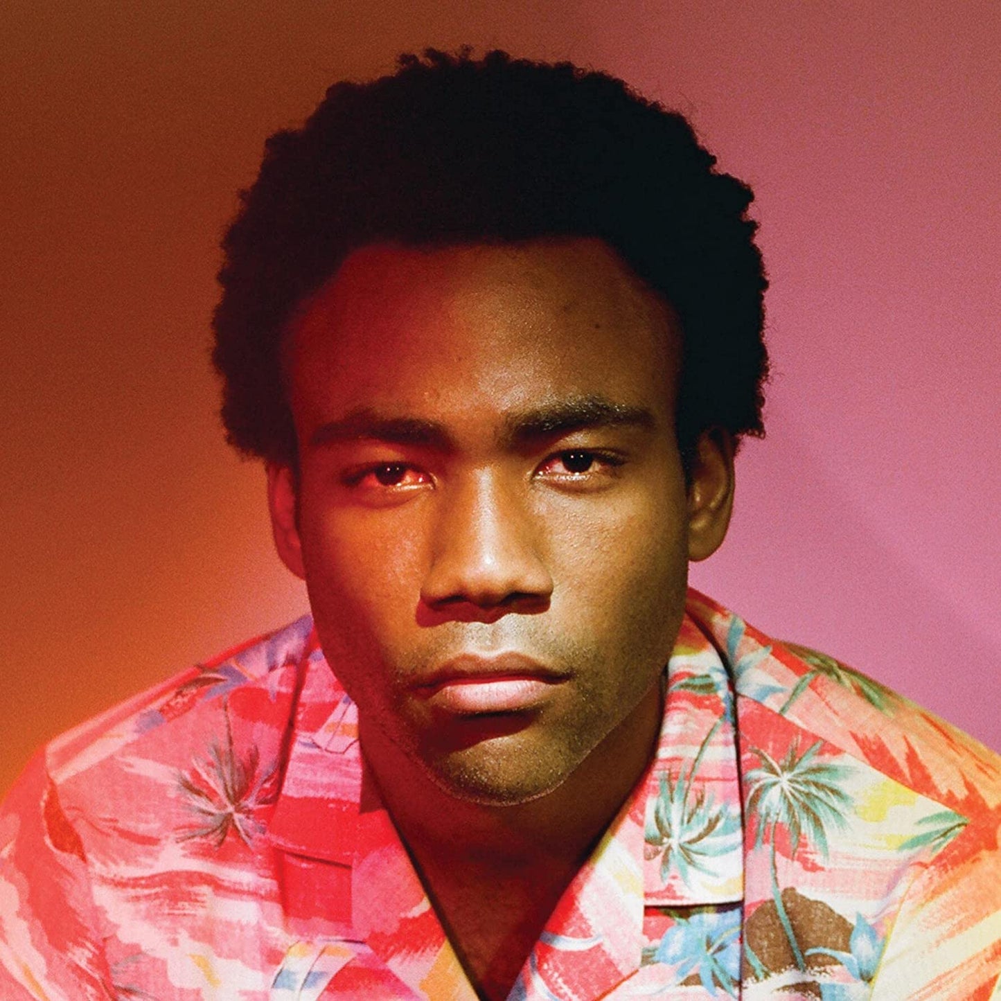 Childish Gambino - Because the Internet (Double Black Vinyl)