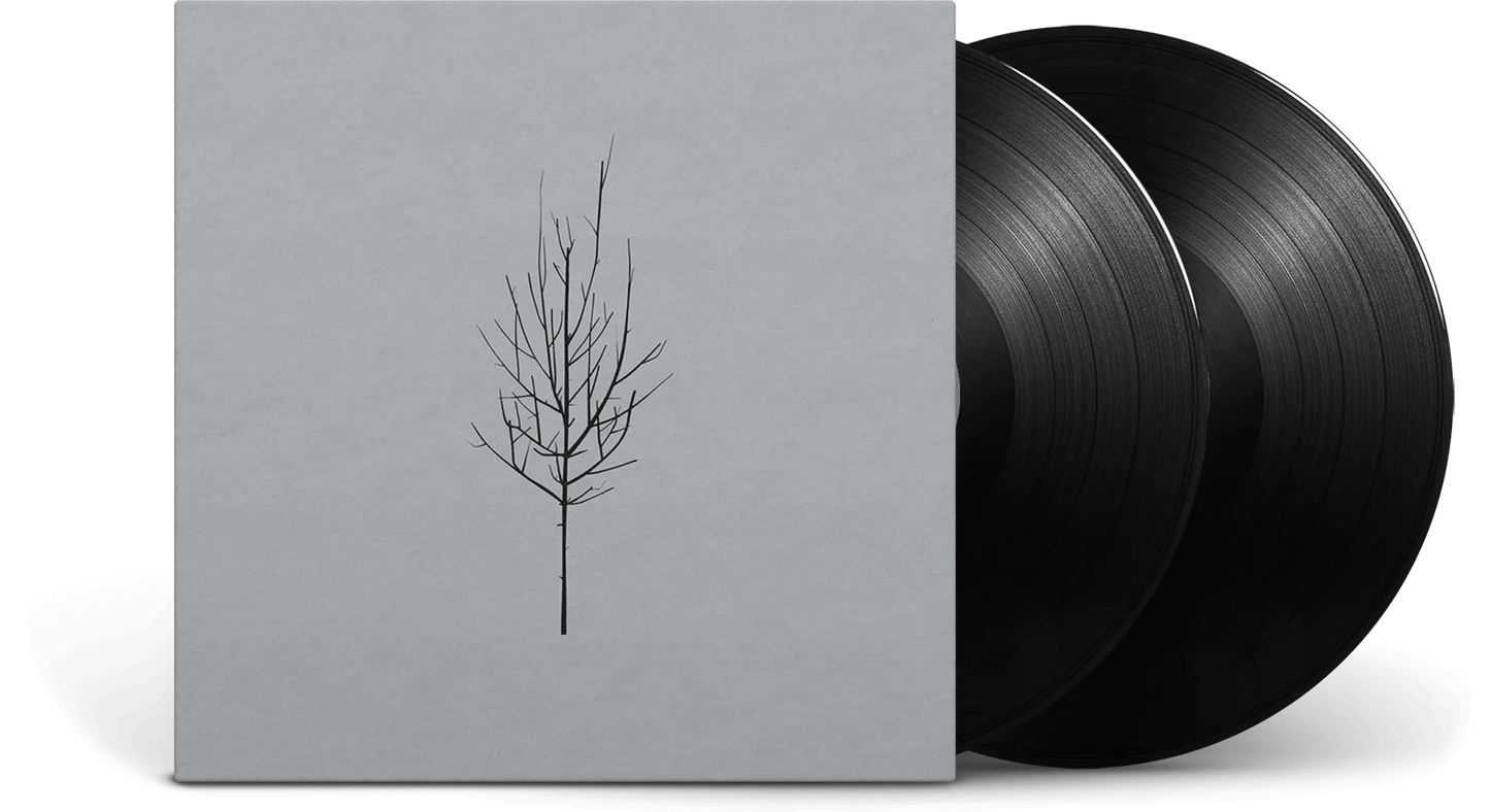 Low - Ones and Sixes (Double Black Vinyl)