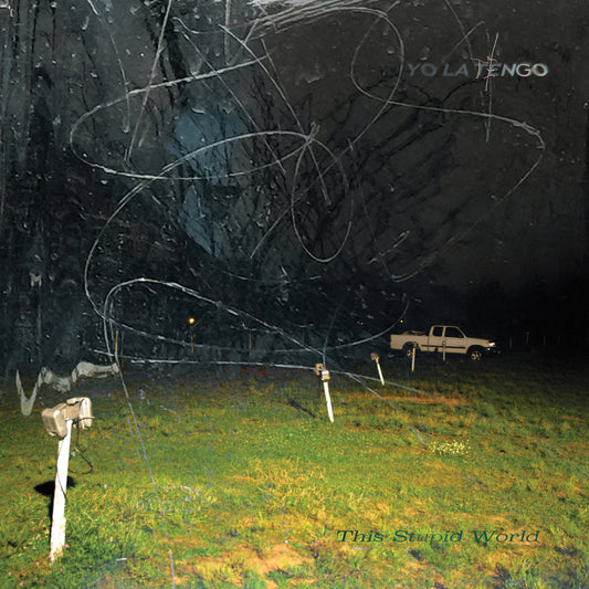 Yo La Tengo - This Stupid World (Double Black Vinyl)