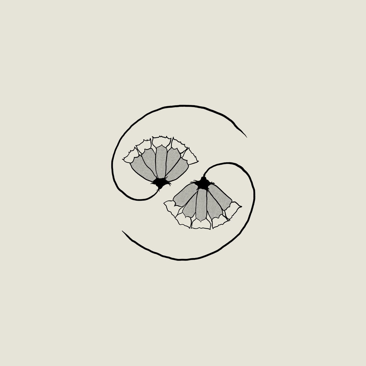 Godspeed You! Black Emperor - G_d’s Pee AT STATE’S END (180g Black Vinyl + 10'' EP)