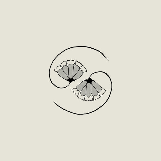 Godspeed You! Black Emperor - G_d’s Pee AT STATE’S END (180g Black Vinyl + 10'' EP)
