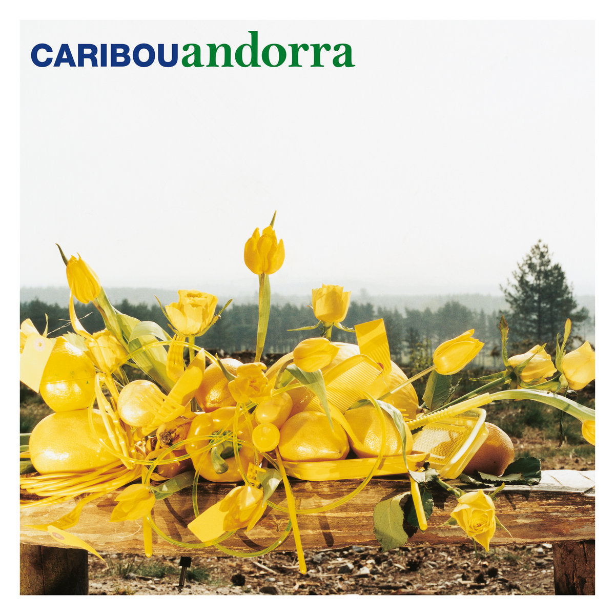 Caribou - Andorra "15th Anniversary Edition" (Limited Edition on 180g White Vinyl)