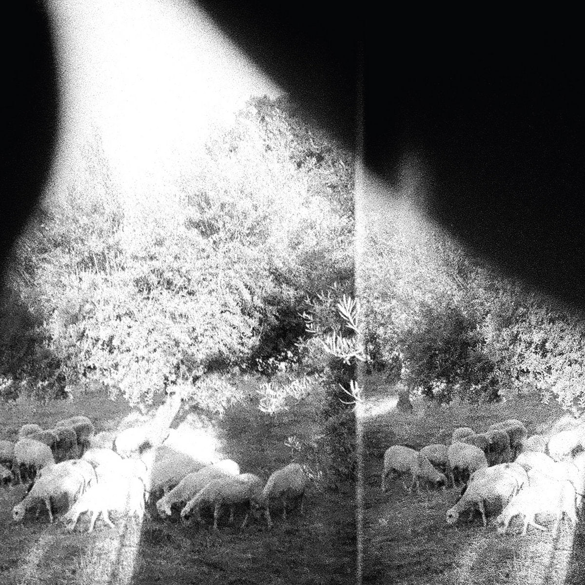 Godspeed You! Black Emperor - Asunder, Sweet and Other Distress (180g Black Vinyl)