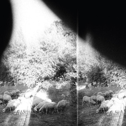Godspeed You! Black Emperor - Asunder, Sweet and Other Distress (180g Black Vinyl)