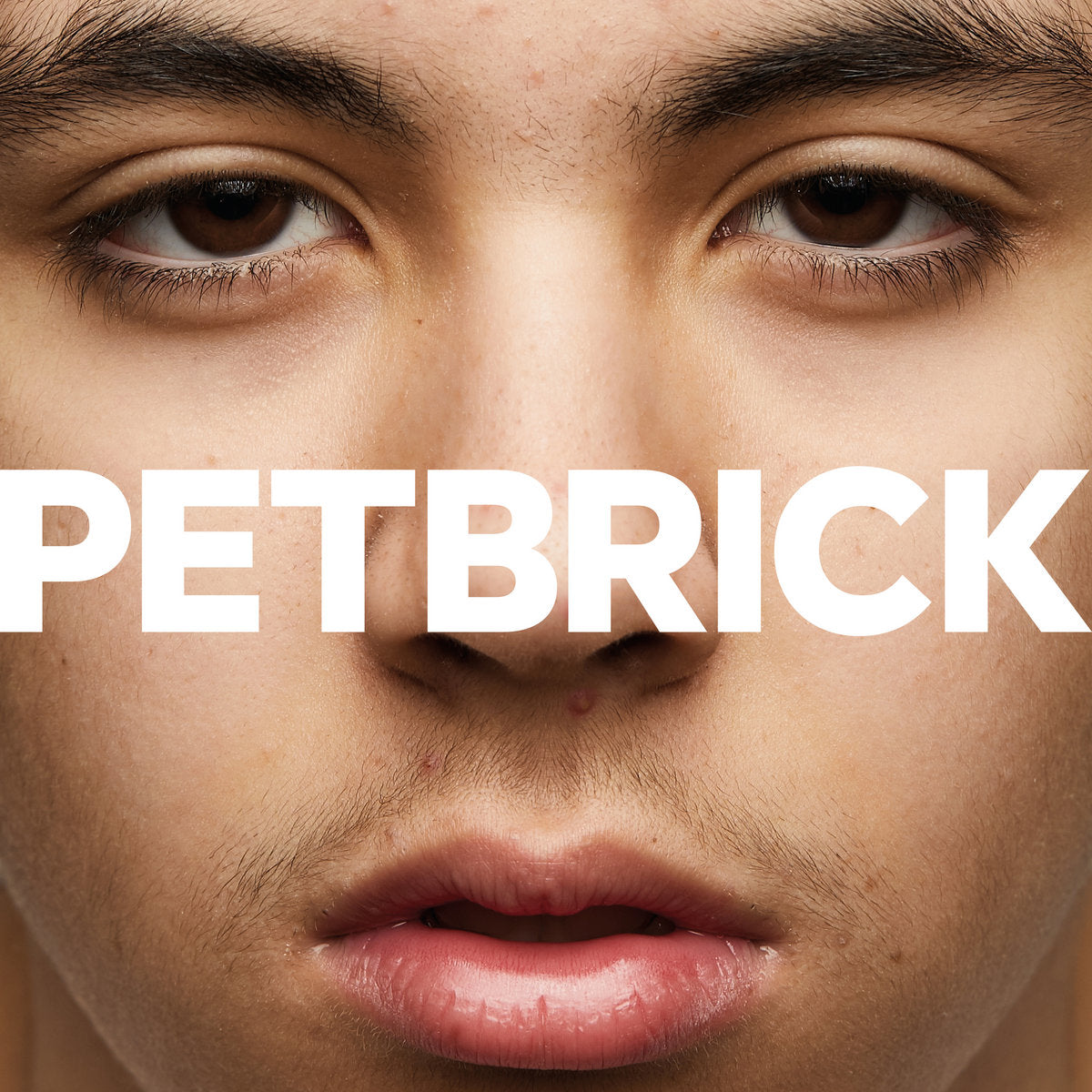 Petbrick - I (Limited Edition on Split Black/Clear Vinyl)