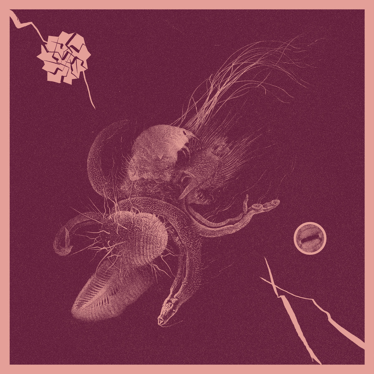 Aaron Turner & Jon Mueller - Now That You've Found It (Black Vinyl)