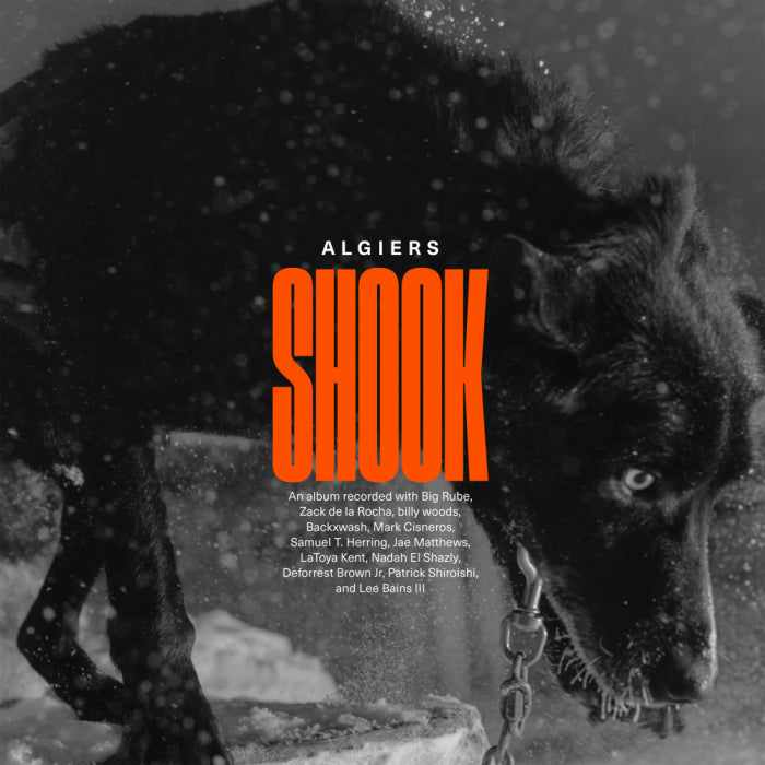 Algiers - Shook (Limited Edition on Double Gold Vinyl)