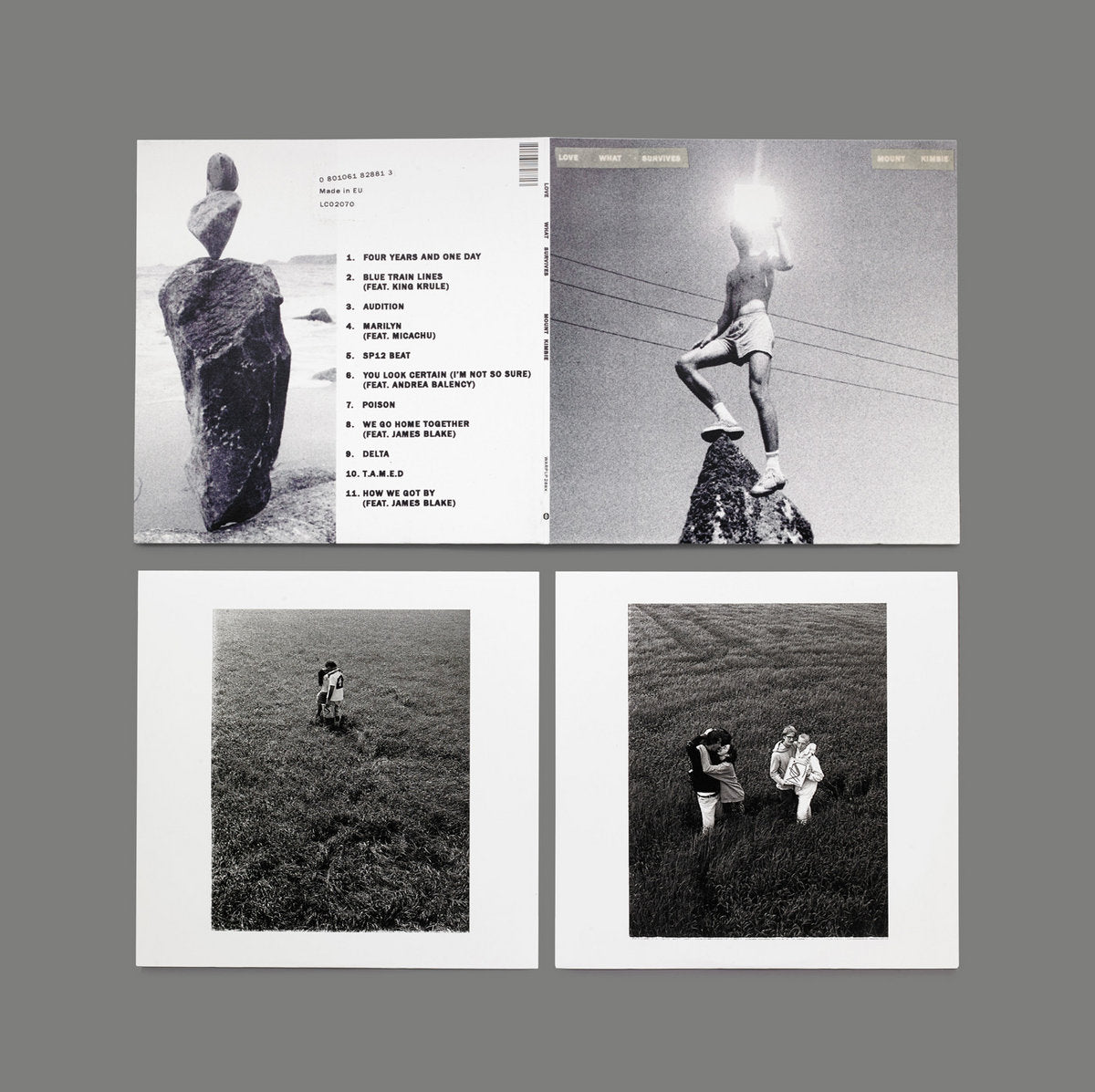 Mount Kimbie - Love What Survives (Double Black Vinyl)