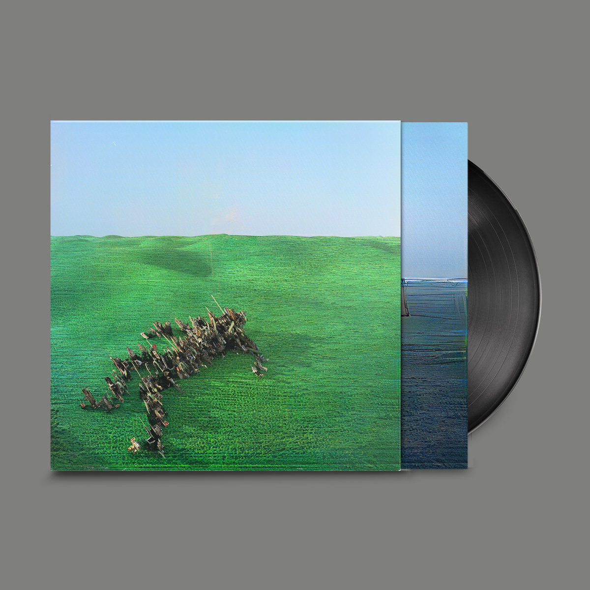 Squid - Bright Green Field (Double Black Vinyl)