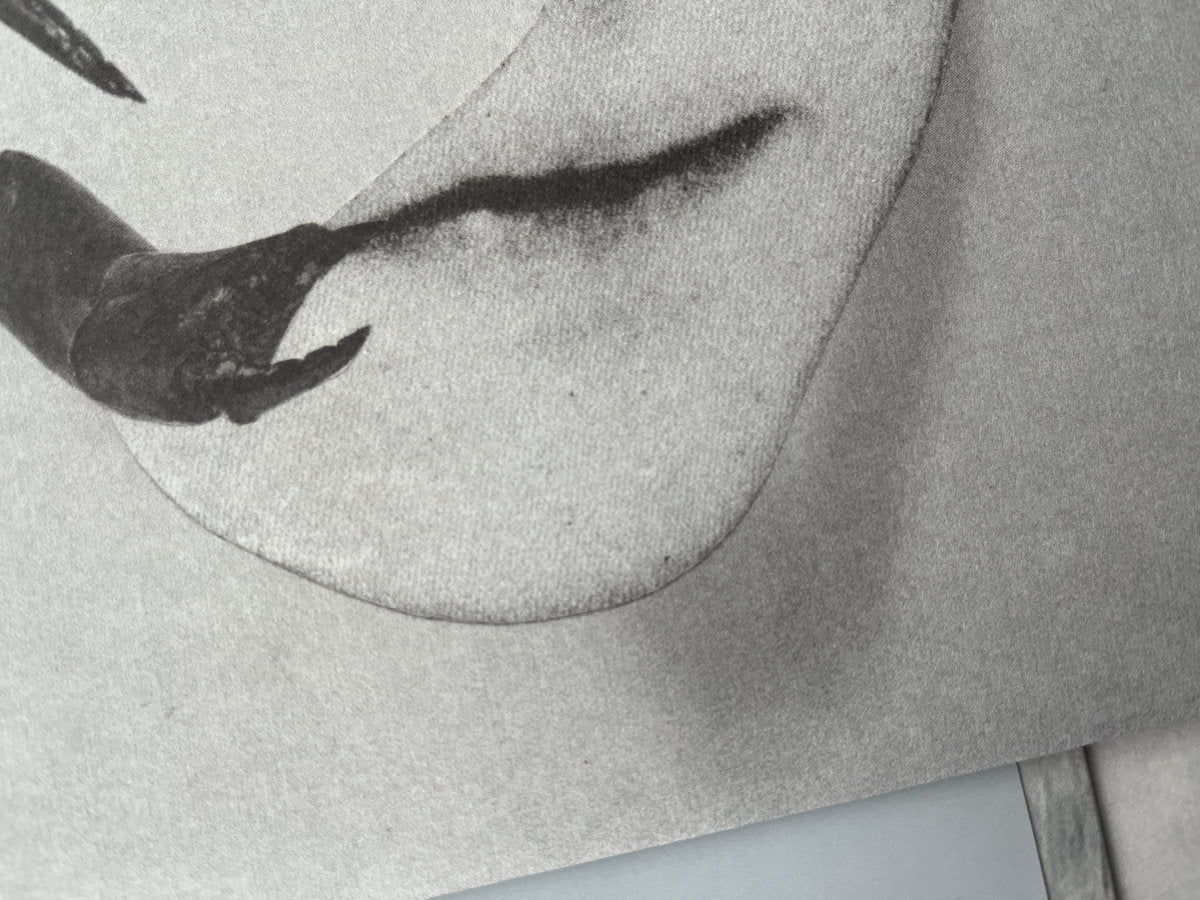 Tortoise - Touch (Black Vinyl w/ Obi-Strip)