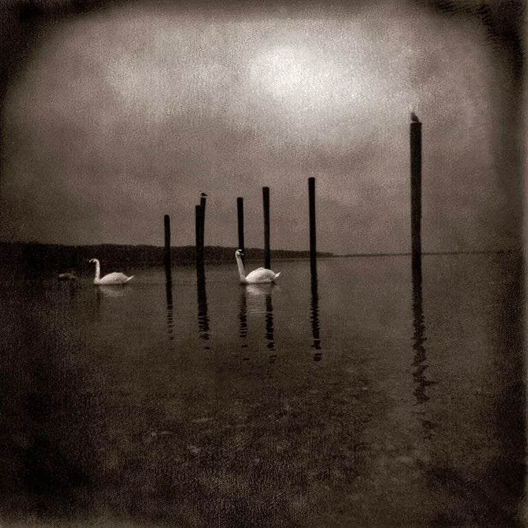 Om - Conference of the Birds (Black Vinyl)